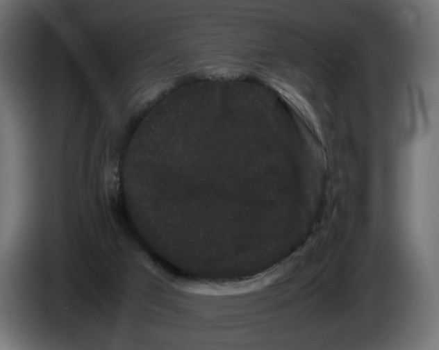 X0000082940017200703020137