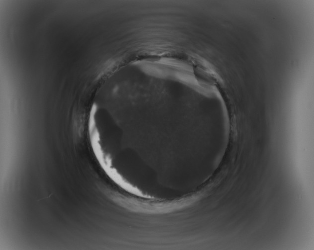 X0000082940018200703020137