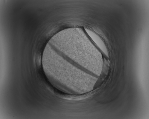 X0000082940021200703020137