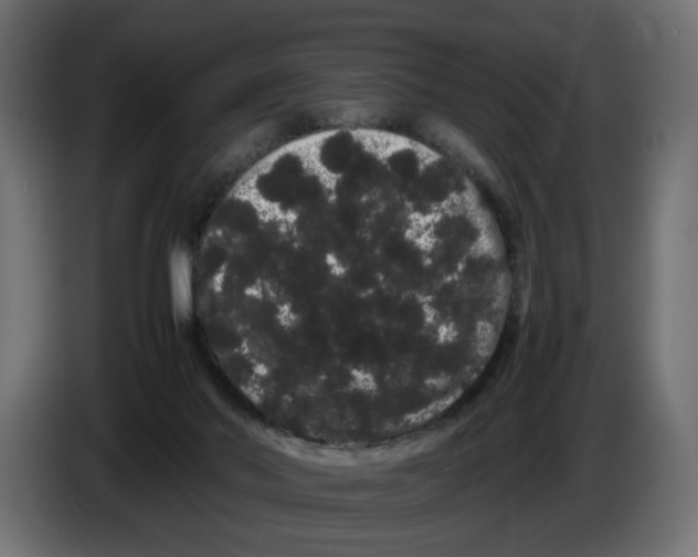 X0000082940022200703020137