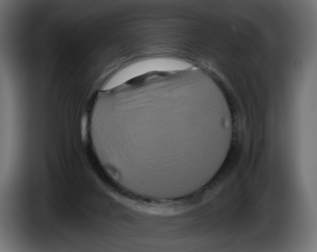 X0000082940024200703020137