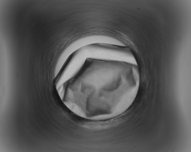 X0000082940025200703020137