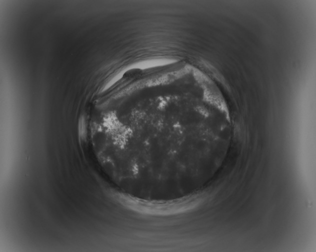 X0000082940026200703020137