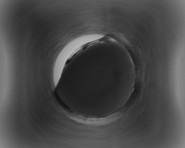 X0000082940027200703020137