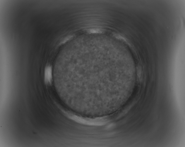 X0000082940028200703020137