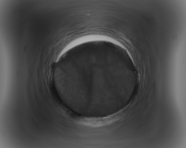 X0000082940029200703020137