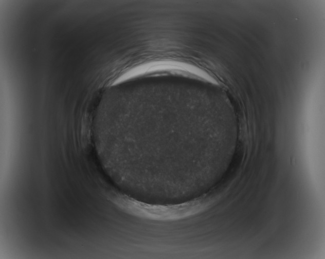 X0000082940030200703020137