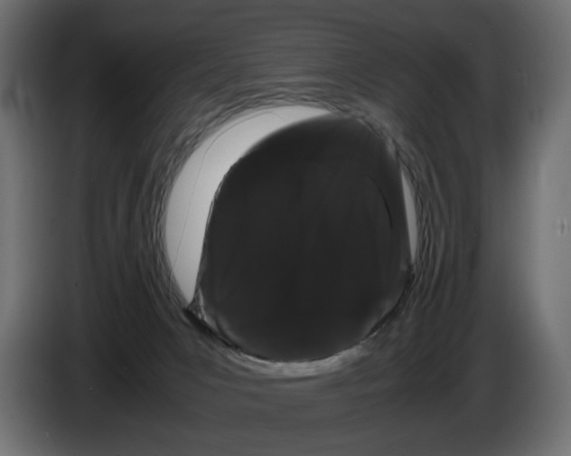 X0000082940031200703020137