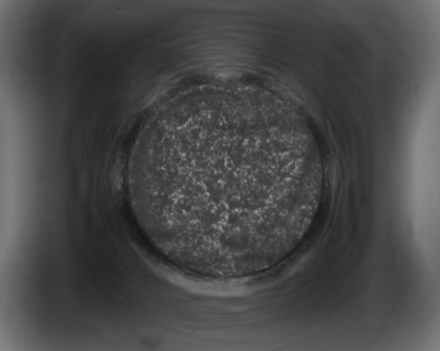 X0000082940032200703020137