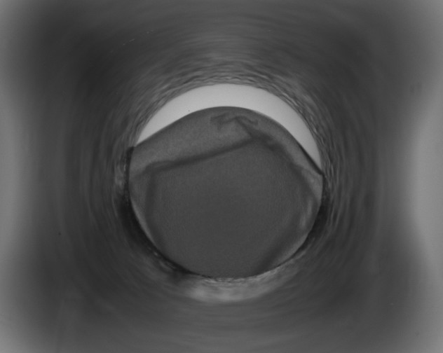 X0000082940033200703020137