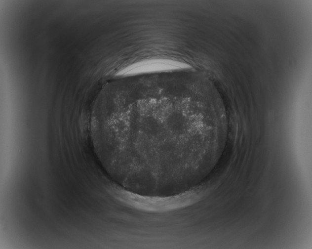 X0000082940034200703020137