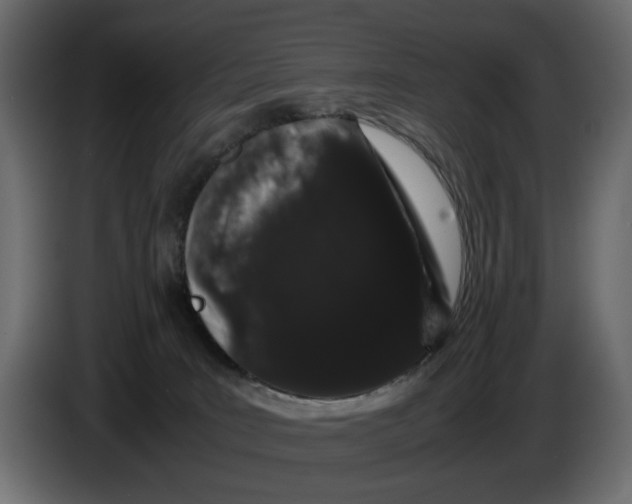 X0000082940035200703020137