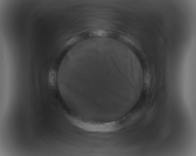 X0000082940036200703020137