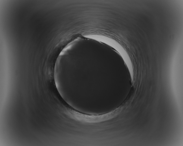 X0000082940039200703020137