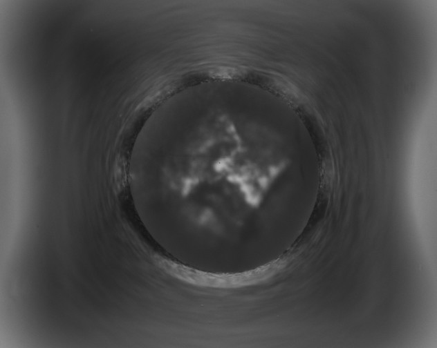 X0000082940043200703020137