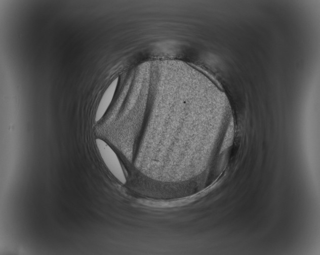 X0000082940045200703020137