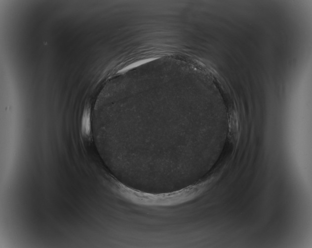 X0000082940046200703020137