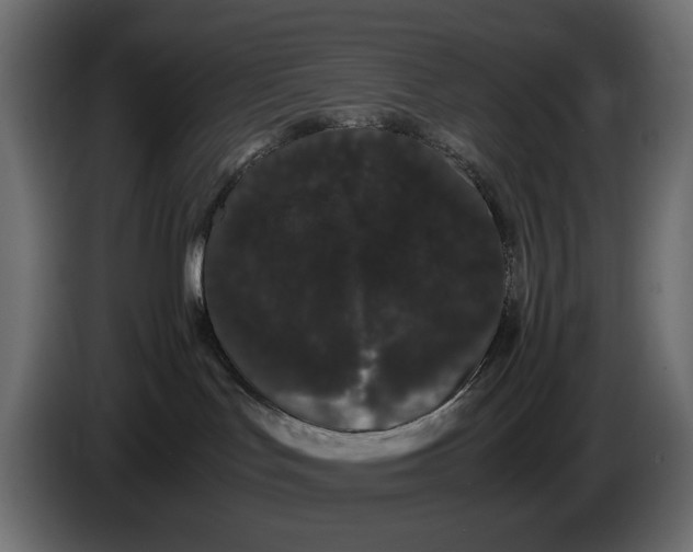 X0000082940047200703020137