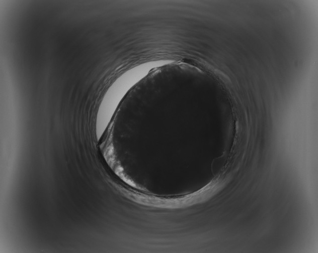 X0000082940048200703020137