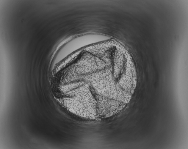 X0000082940050200703020136