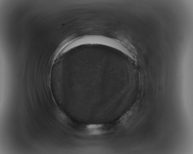 X0000082940051200703020136