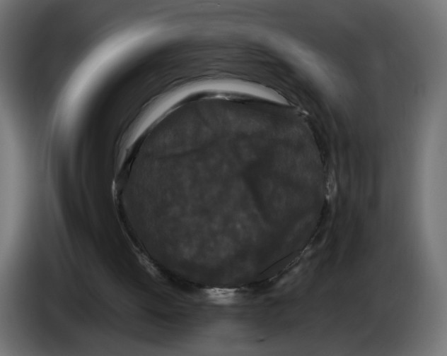 X0000082940052200703020136