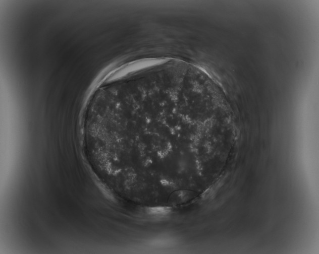 X0000082940053200703020136