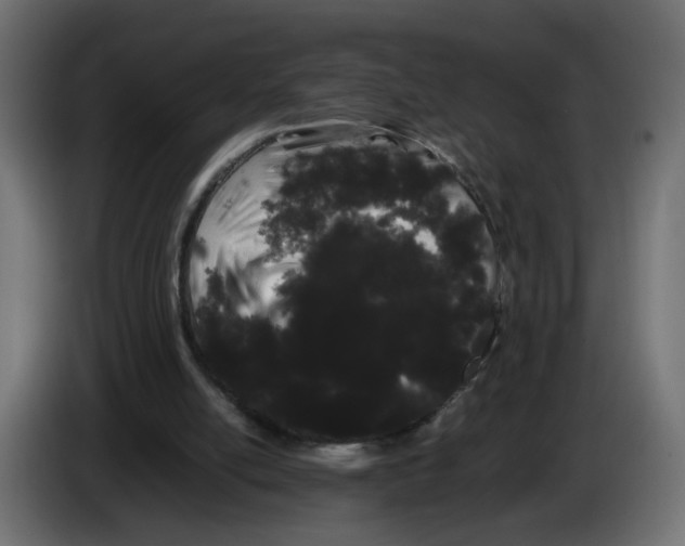 X0000082940054200703020136