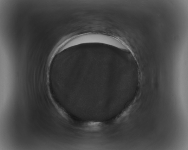 X0000082940055200703020136