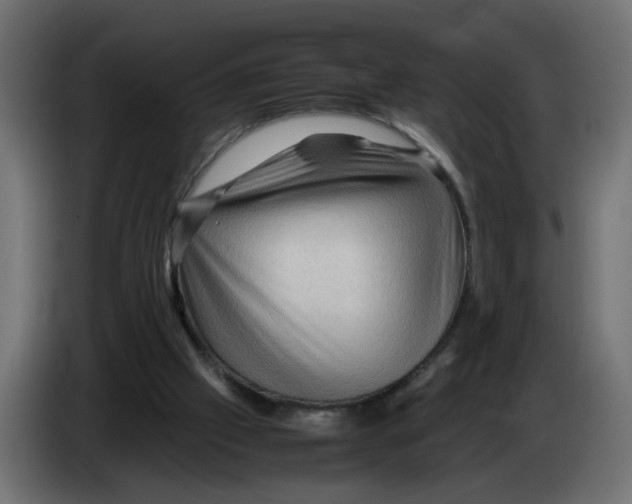 X0000082940057200703020136