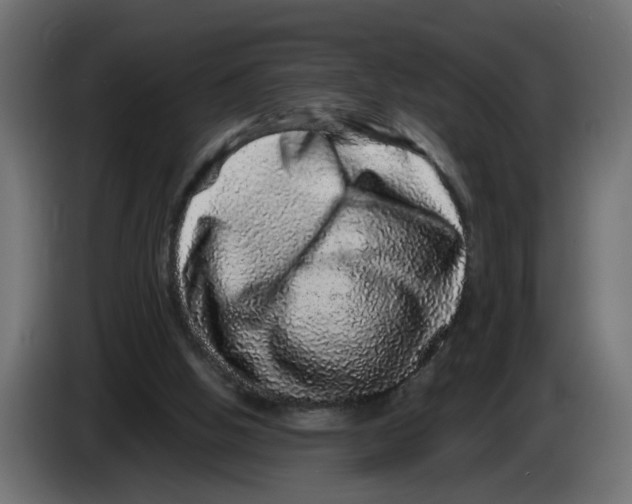 X0000082940058200703020136