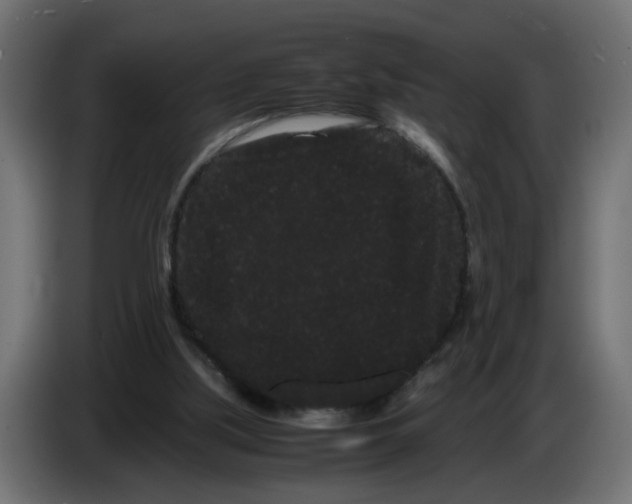 X0000082940059200703020136