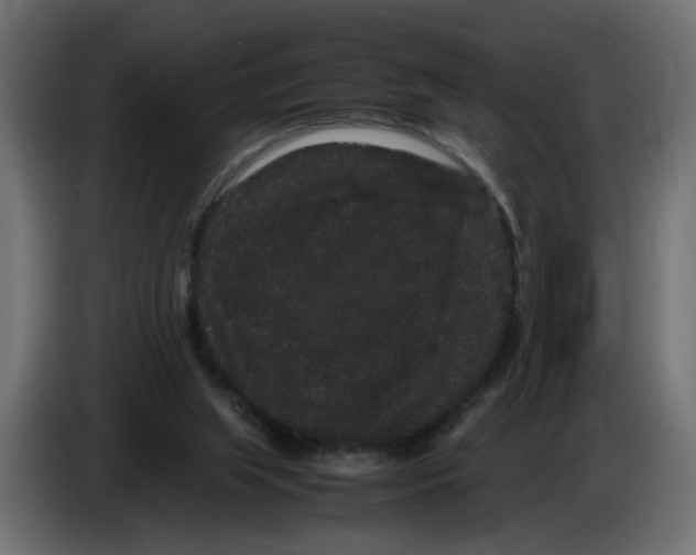 X0000082940063200703020136