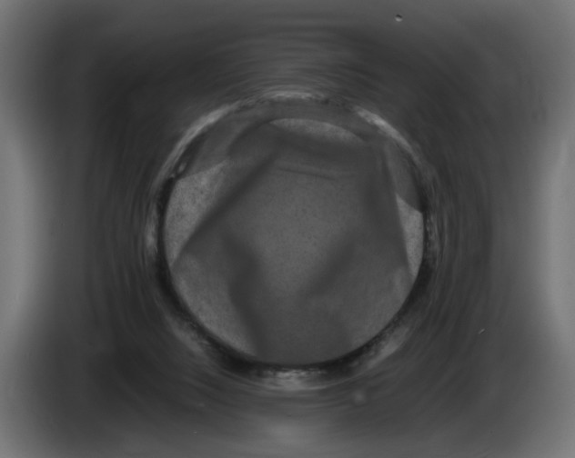 X0000082940064200703020136