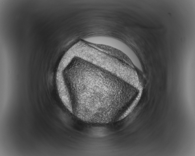 X0000082940066200703020136