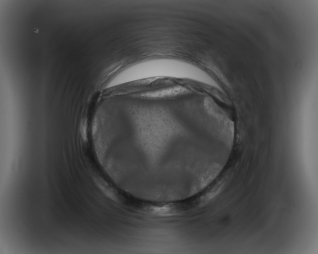 X0000082940068200703020136