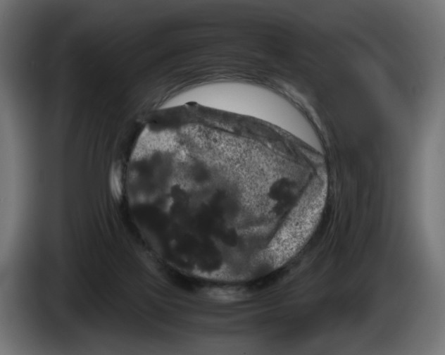 X0000082940069200703020136