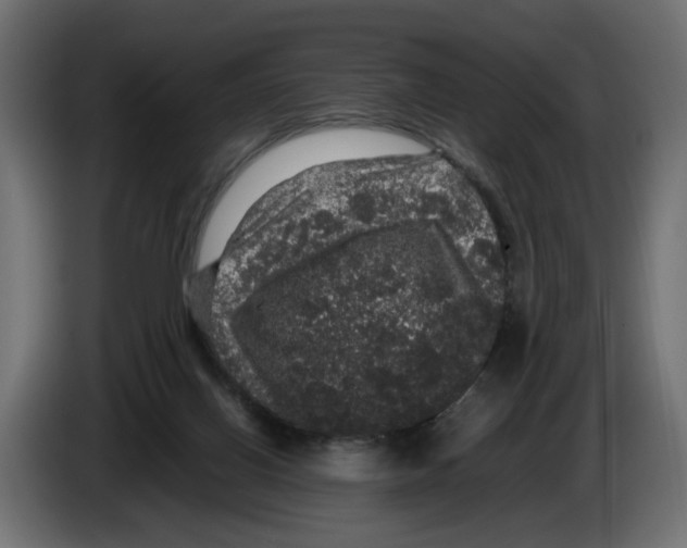 X0000082940070200703020136