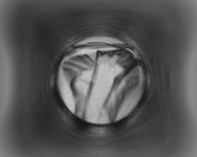 X0000082940071200703020136