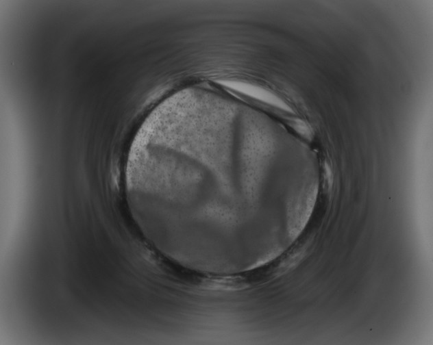 X0000082940072200703020136