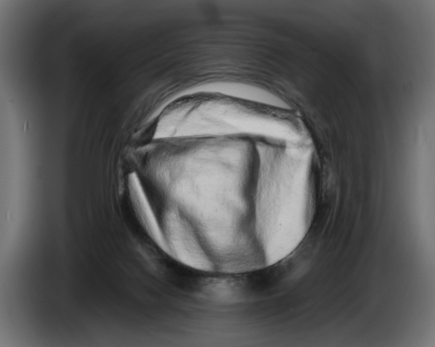 X0000082940074200703020136