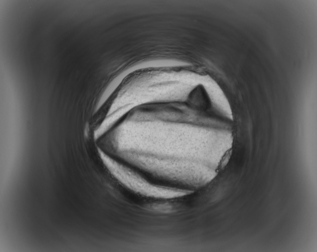 X0000082940075200703020136