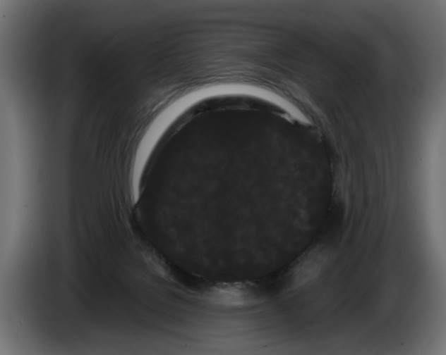 X0000082940076200703020136