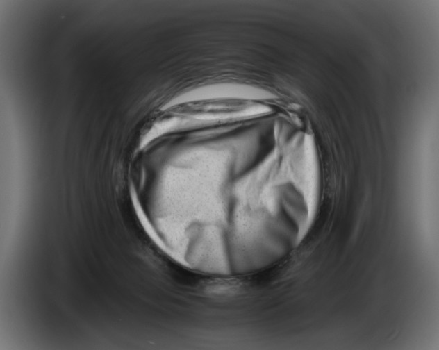 X0000082940077200703020137