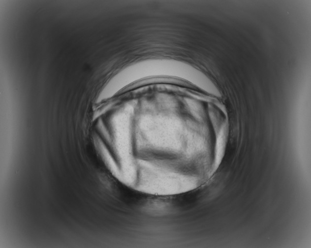 X0000082940078200703020137