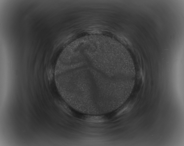 X0000082940081200703020137