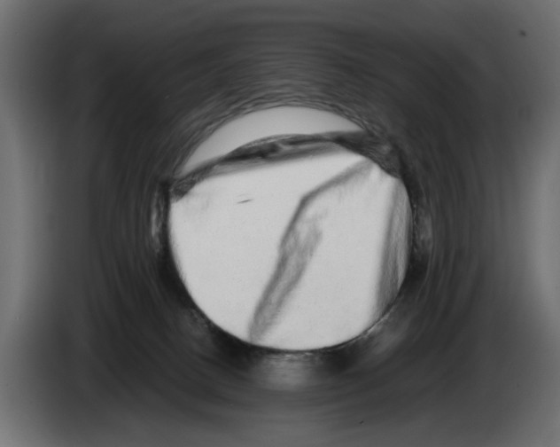 X0000082940082200703020137