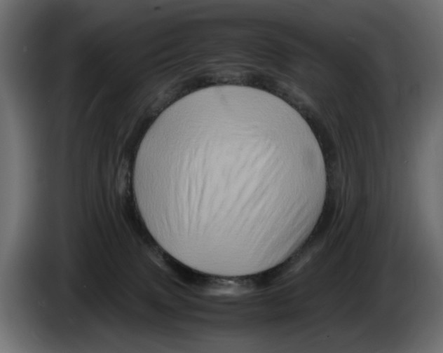 X0000082940083200703020137