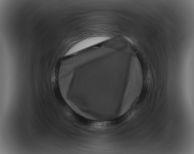 X0000082940084200703020137