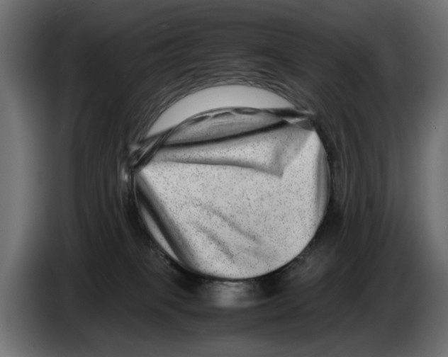 X0000082940085200703020137